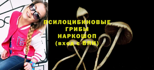 мяу мяу кристалл Вяземский