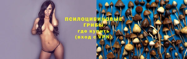 гидропоника Волоколамск