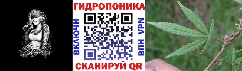 Марихуана OG Kush  кракен ONION  Камбарка 